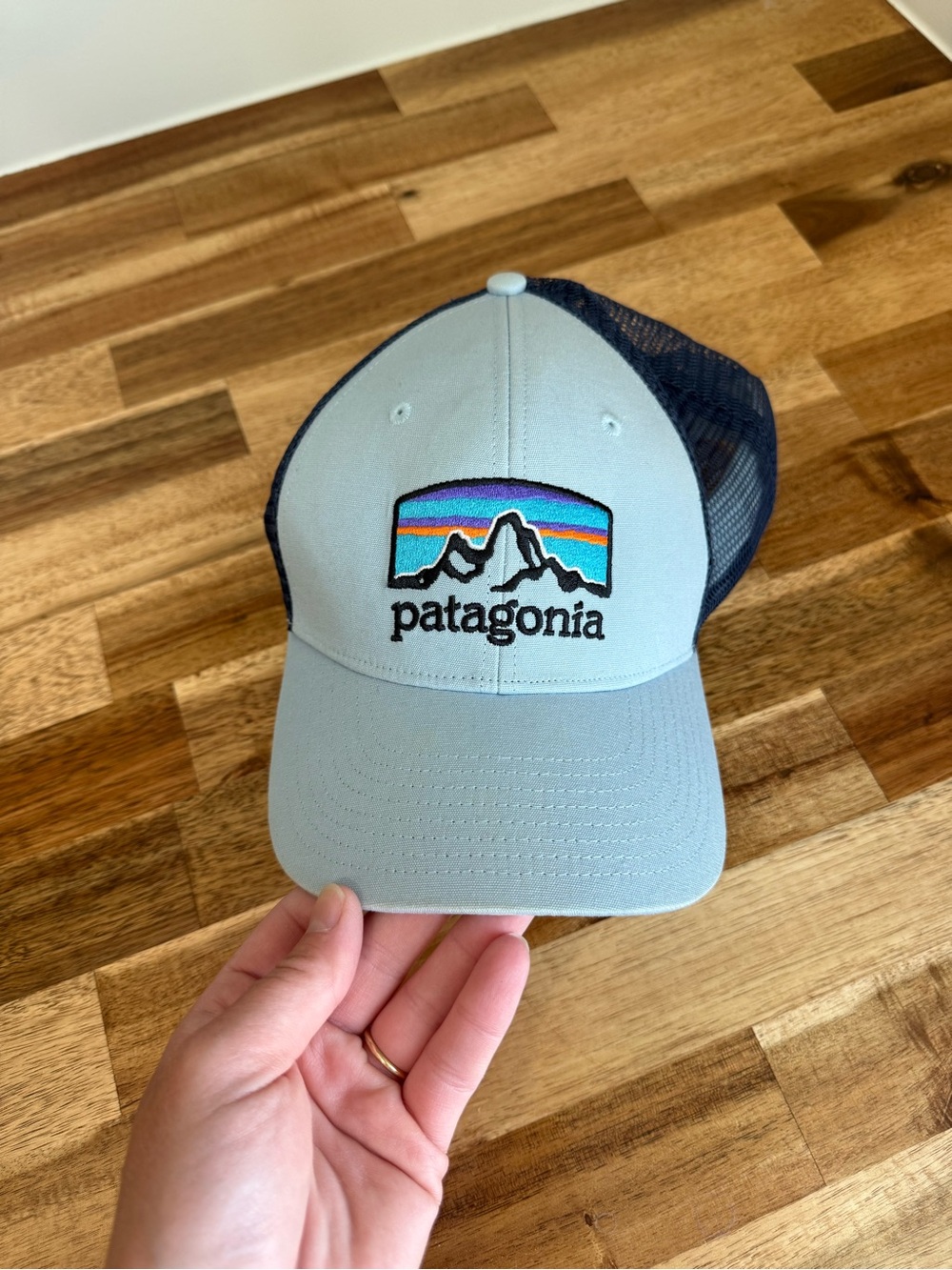 Patagonia Light Blue Front Navy Mesh Logo Cap